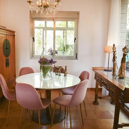 Alegre Playa Grupo Terra De Mar